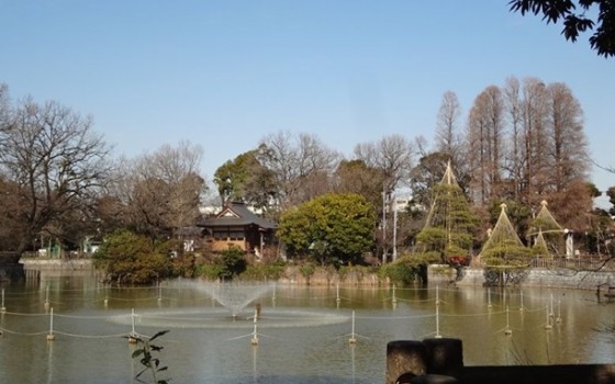碑文谷公園