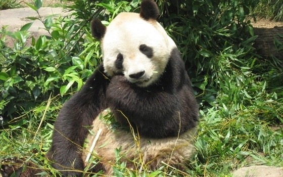 夏休み到来♪レジャー費は節約できる!