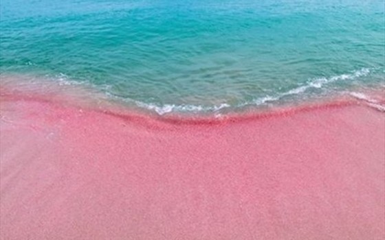 カリブ海の絶景スポット ピンクサンドビーチ って知ってる 店舗発 地域情報