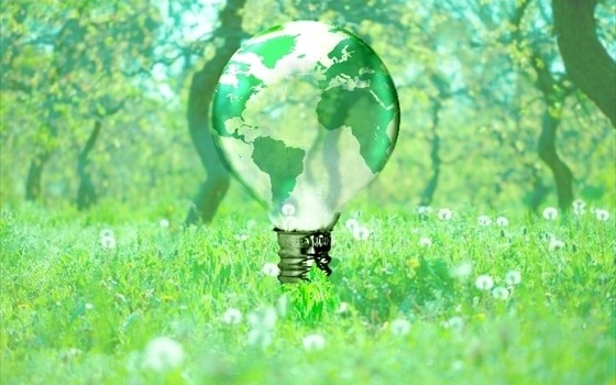 実は間違ってる?節約法を正しく知ろう!