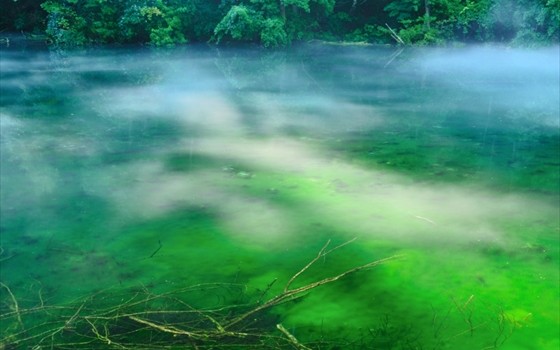 龍伝説が残る新潟県の幻想的な池
