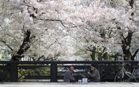 日本三大桜のひとつでもある吉野山の桜！奈良県の絶景スポット