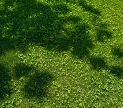 海の中道オススメプラン！その3