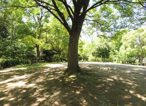 井の頭自然文化園　　夏のイベント開催中★