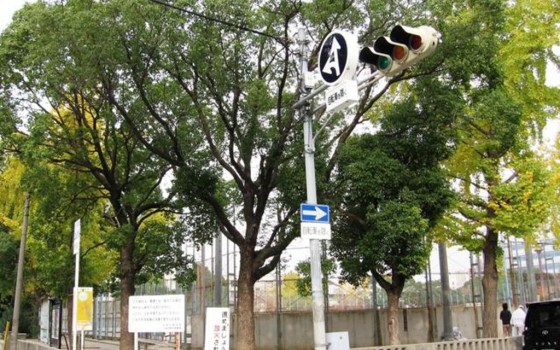 地元民には馴染みの深い公園です。