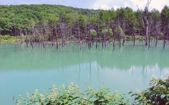北海道へエメラルドグリーンの池を見に行こう