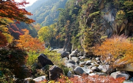 全国の秋の名所！～関東・甲信越～