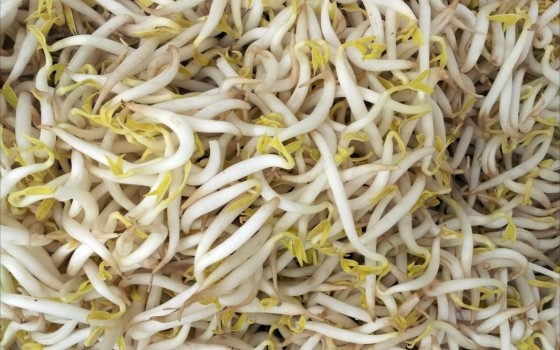 料理するなら節約レシピ【もやし編】