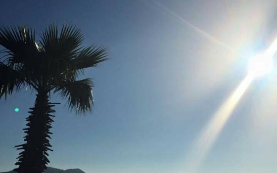 夏といえば海だー！