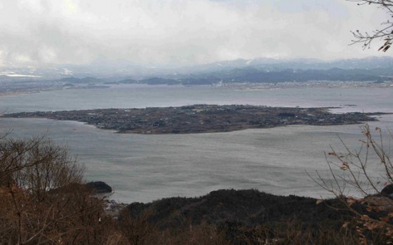 大根島