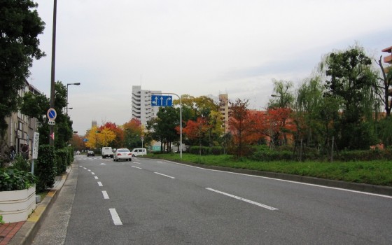 見ごたえのある緑地帯がある道路です