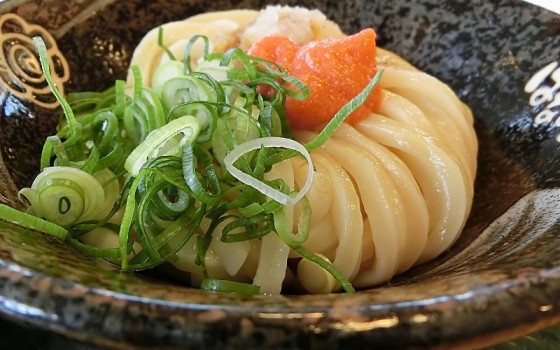 ☆吹田市グルメ情報☆「紅葉庵」人気の讃岐うどん♪