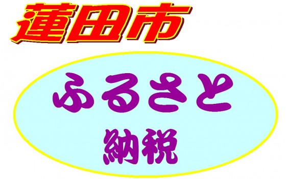 蓮田市　ふるさと納税