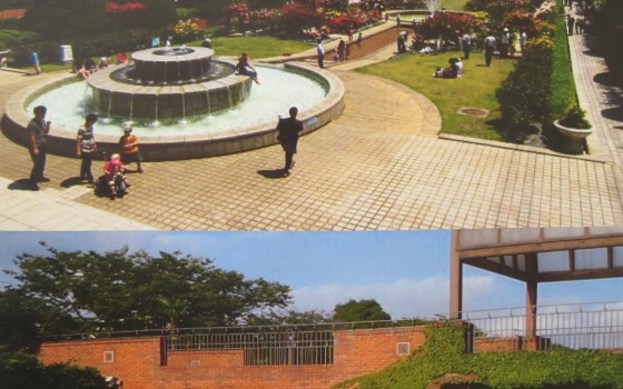 【葛西】彩り豊かな花に包まれた公園「フラワーガーデン」