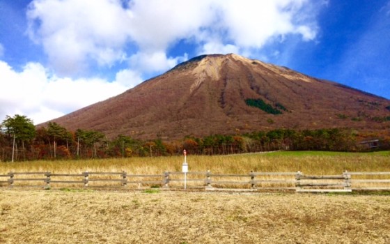 紅葉を見に行ってみた