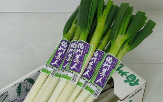 ネギはどうでしょう？～鳥取特産品情報編・6品目～