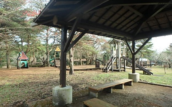 ☆ブラシゲル☆「木の体験広場」えびの市原田