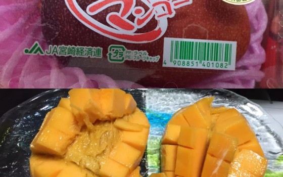 ☆速報！宮崎と言えば！オススメ情報☆