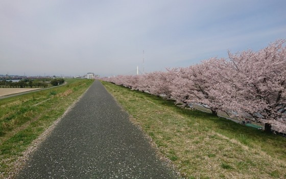 戸田公園